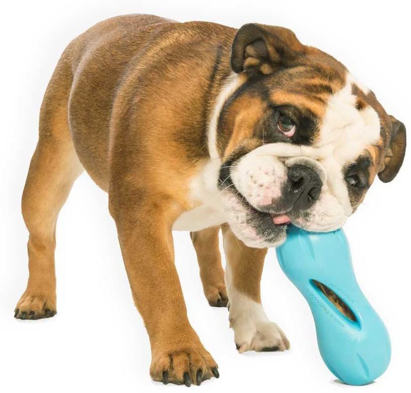 West Paw Zogoflex Qwizl Dog Puzzle Treat Toy