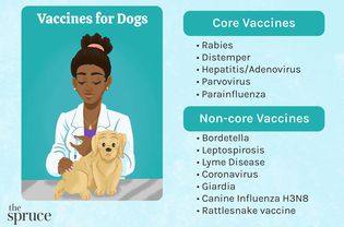 犬用核心疫苗和非核心疫苗