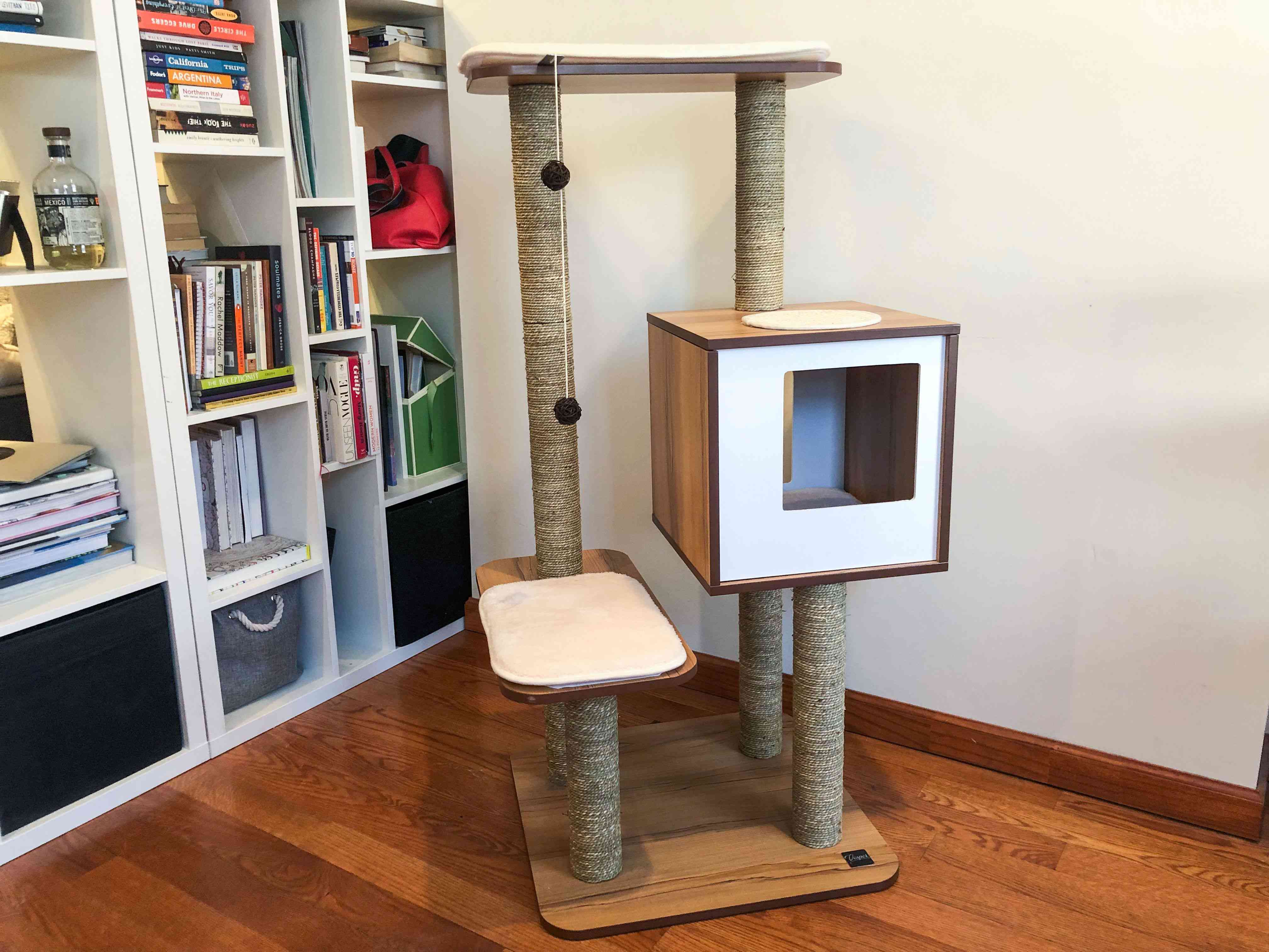 黄昏的猫家具