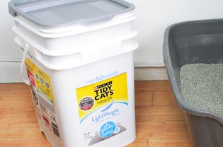 Purina整洁猫轻量级团块猫砂