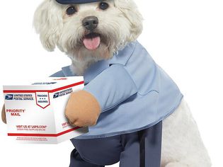 USPS Dog Halloween Costume