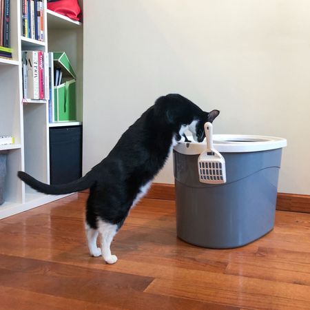 IRIS顶级猫砂盆