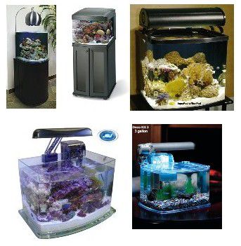 在家里开始一个盐水水族馆的清单