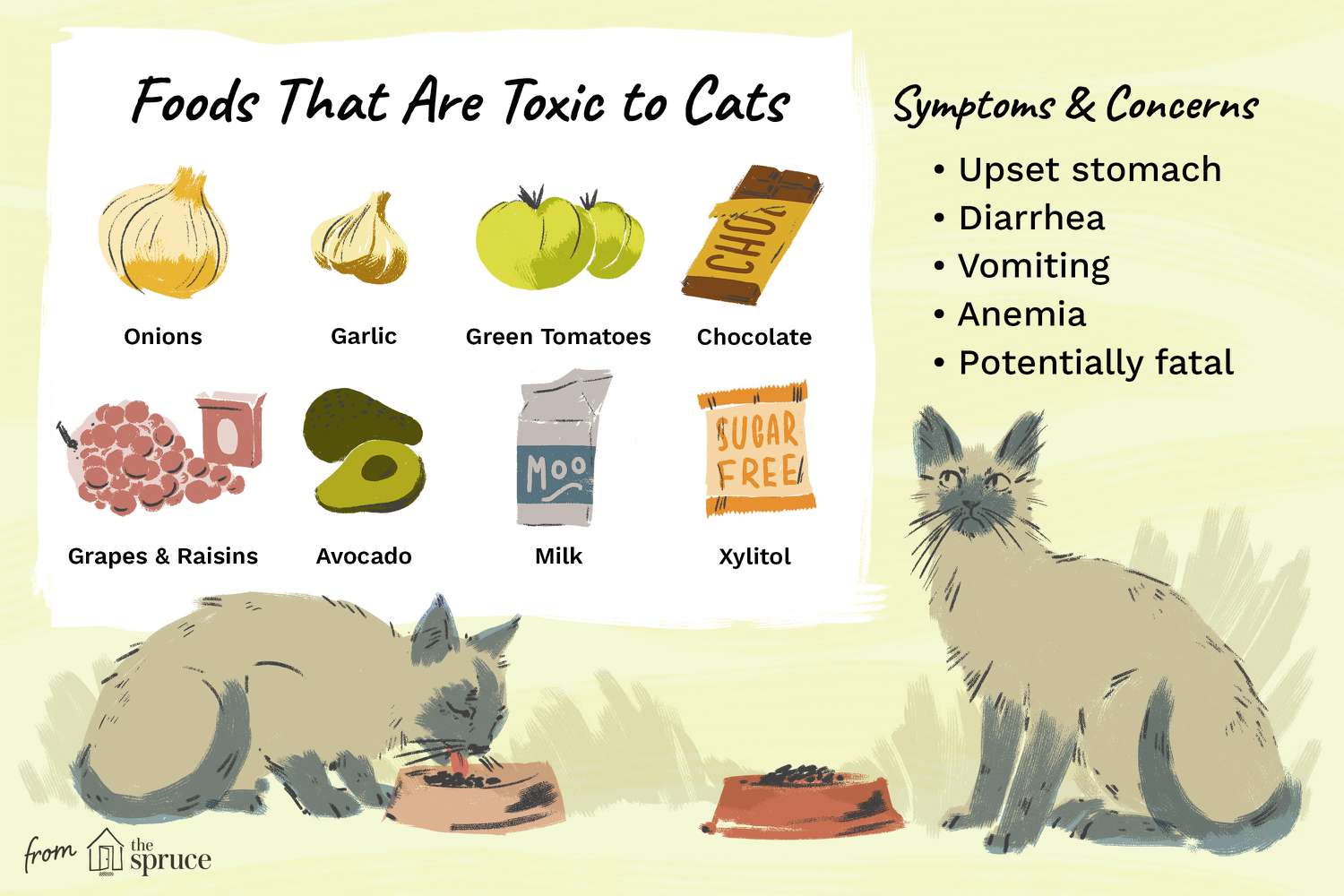 Foods That Are Toxic to Cats