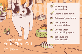 第一只猫清单插图