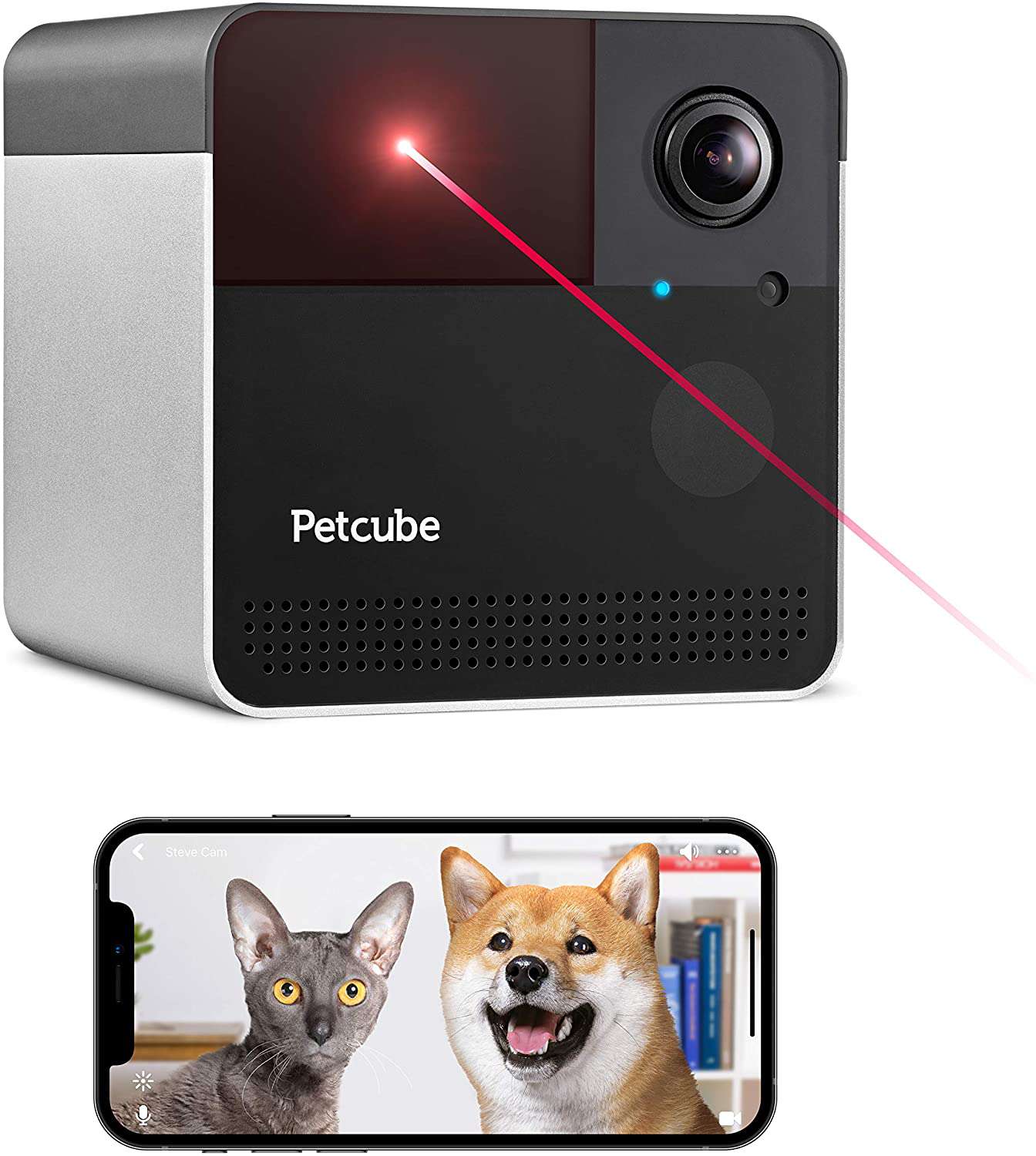 PetCube玩2