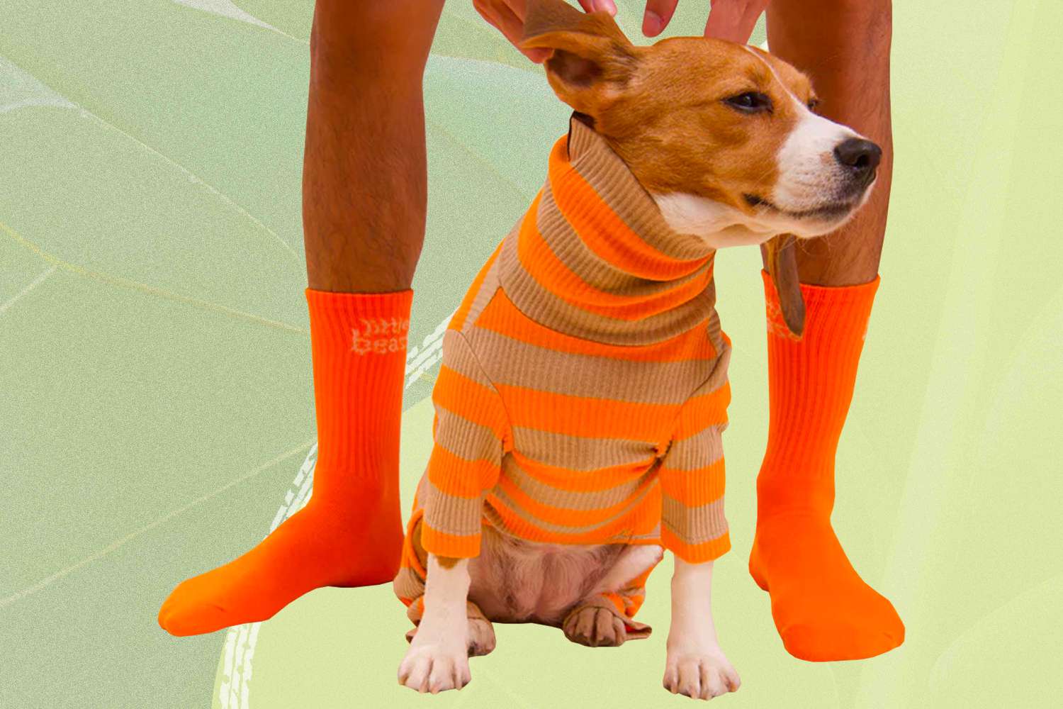 Best Matching Dog and Human Clothes tout