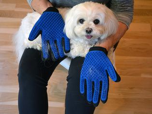 Delomo Pet Grooming Gloves