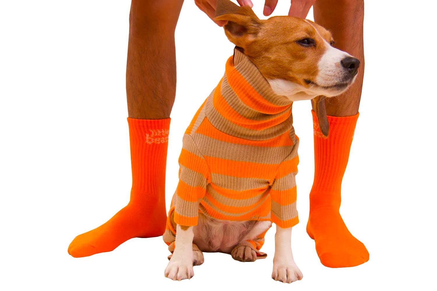 Little Beast Socks