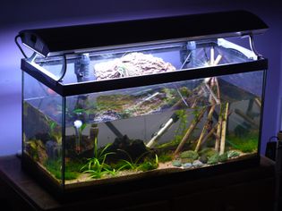 水族馆温度计
