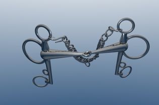 A pelham bit.