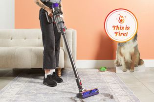 The Best Vacuums for Pet Hair, Tested and Reviewed