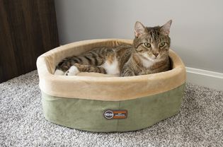 K&H Pet Products Thermo-Kitty Heated Cat Bed