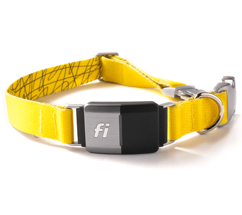 Fi Smart Dog系列2