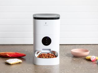 Petlibro Automatic Dog and Cat Feeder displayed with pet toys