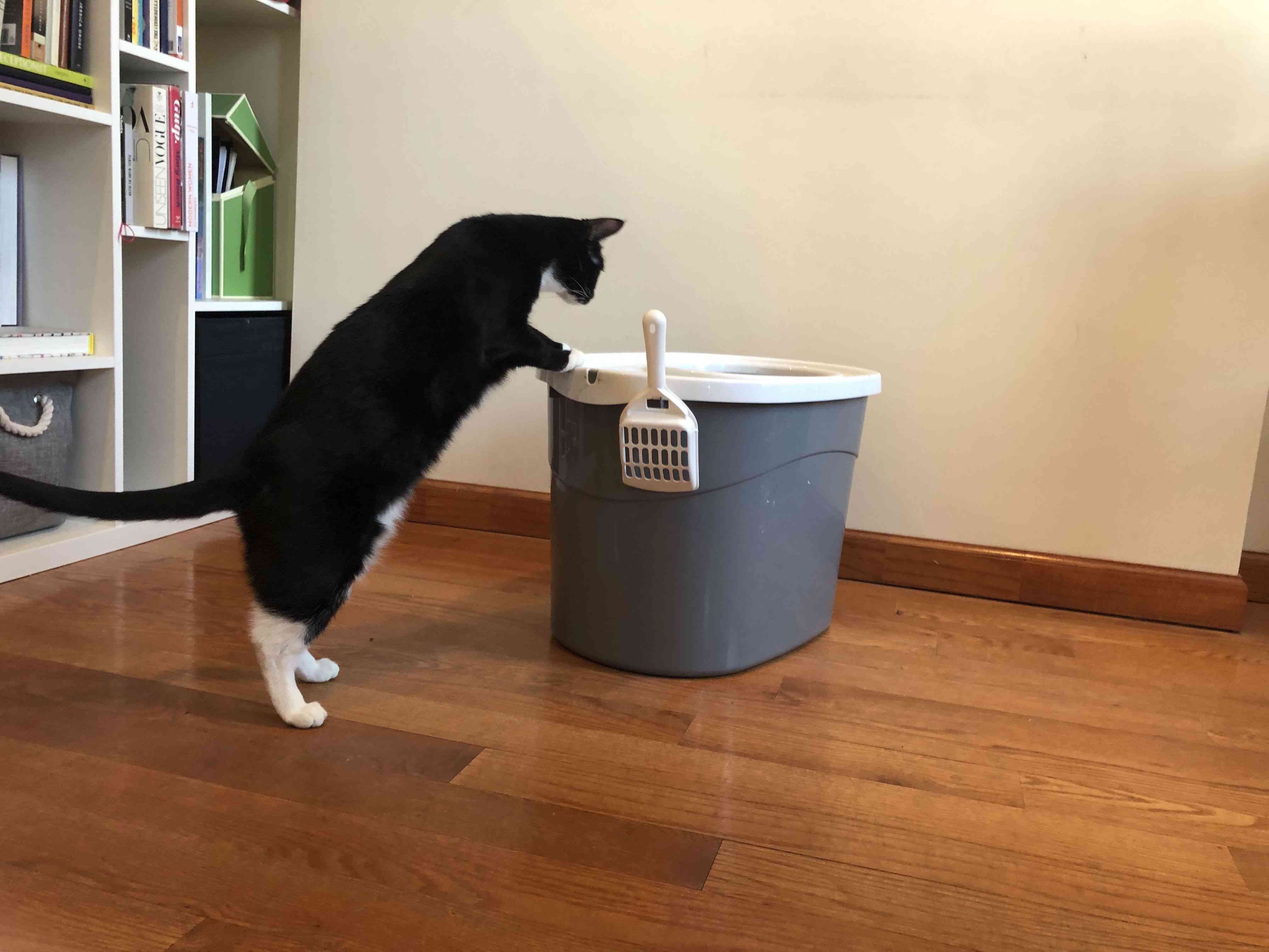 IRIS顶级猫砂盆