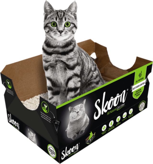 Skoon猫砂