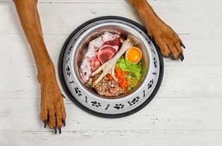 生食放在有狗脚的狗碗里。