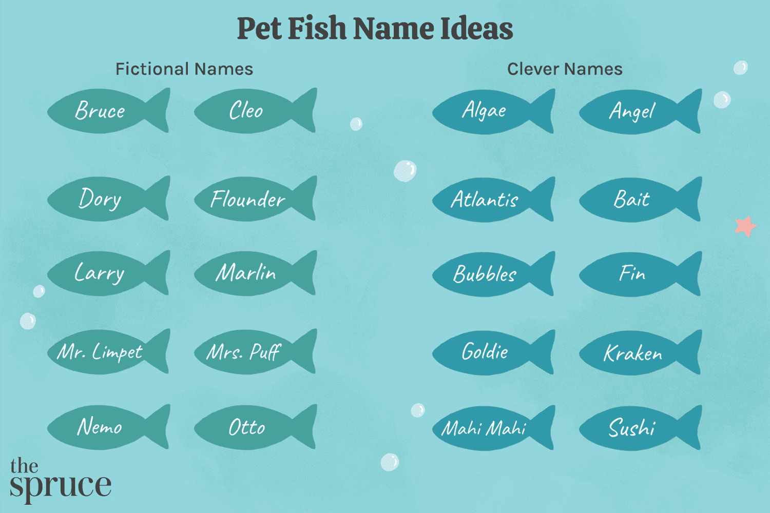 Pet Fish Name Ideas