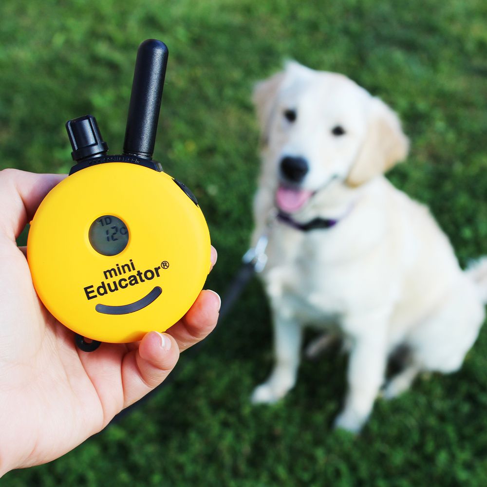 ET-300 Mini Educator Remote E-Collar