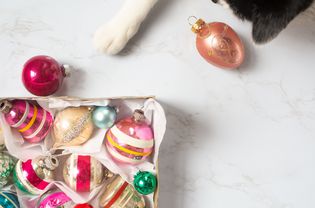 玩圣诞装饰品的猫