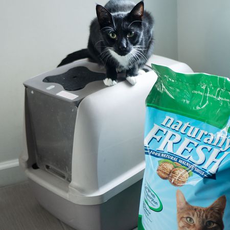 天然新鲜核桃基快速结块猫砂