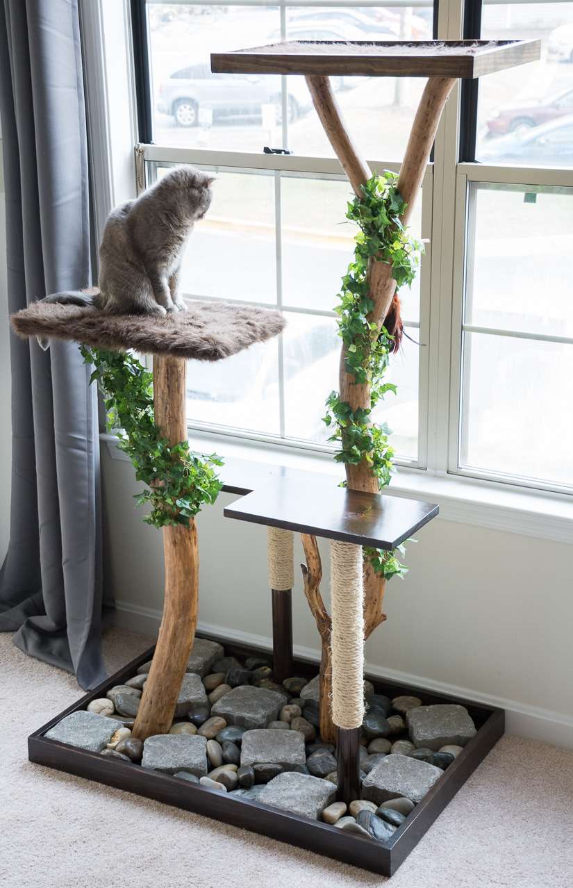 用真树枝做的猫树。