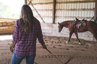 Woman training horse