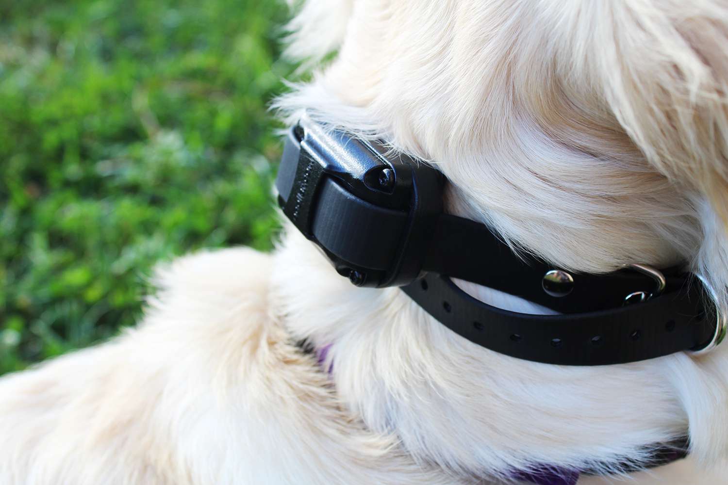 ET-300 Mini Educator Remote E-Collar