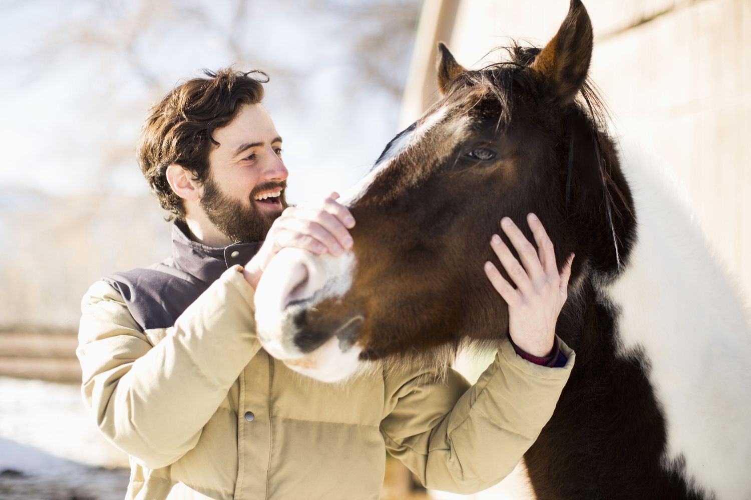 USA, Utah, Salt Lake City, Man stroking horse
