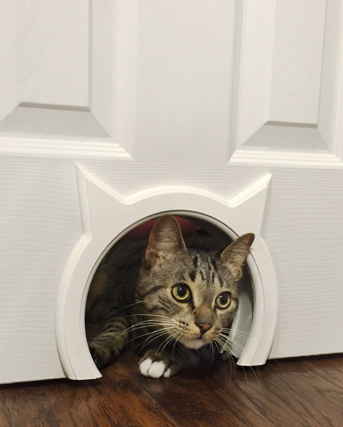 Kitty Pass室内猫门