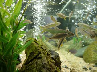 水族馆水