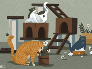 cat bad behaviors illustration