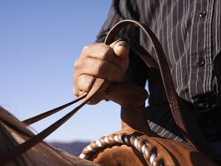 a man holding horse reins in the western style