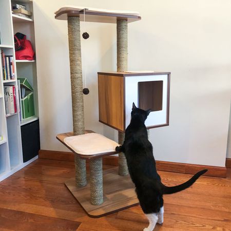 黄昏的猫家具