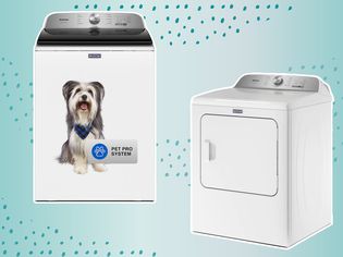 Maytag Pet Pro Washer and Dryer Set on a green background