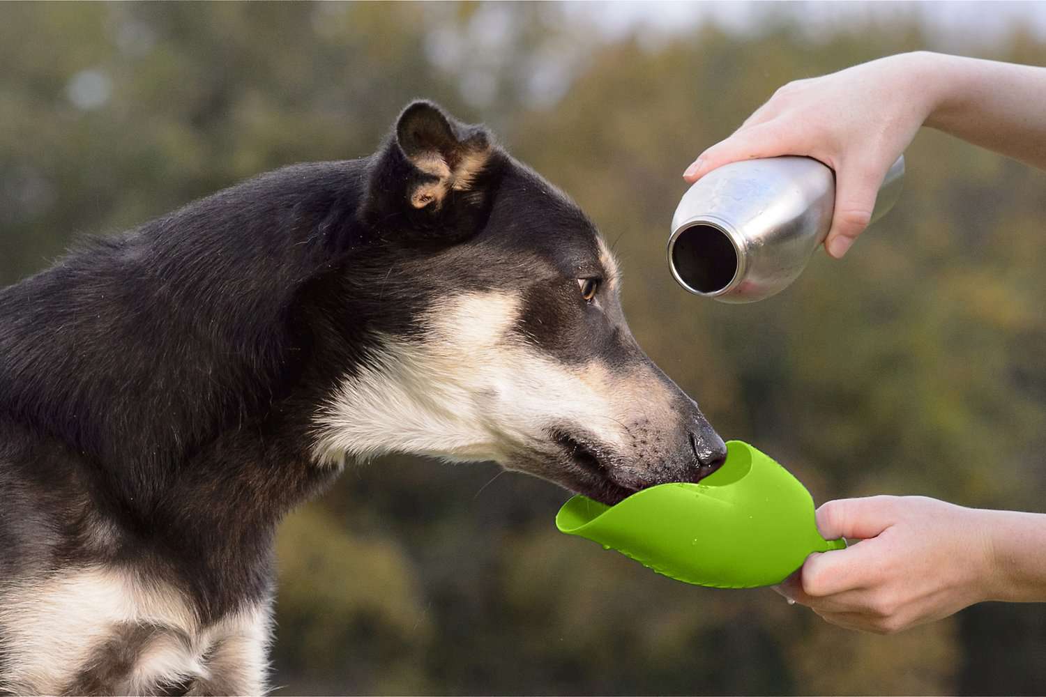 水瓶