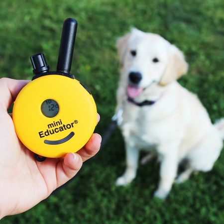 ET-300 Mini Educator Remote E-Collar
