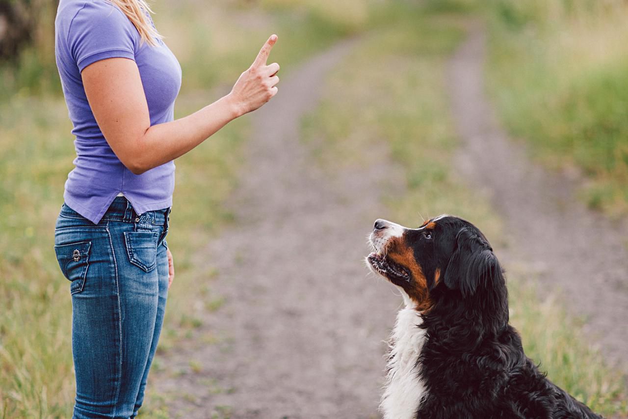 Woman showing warning finger to her dog outdoor