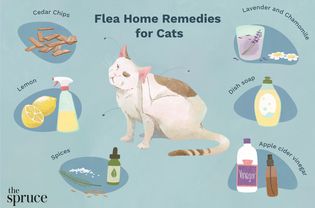 Flea Home Remedies for Cats