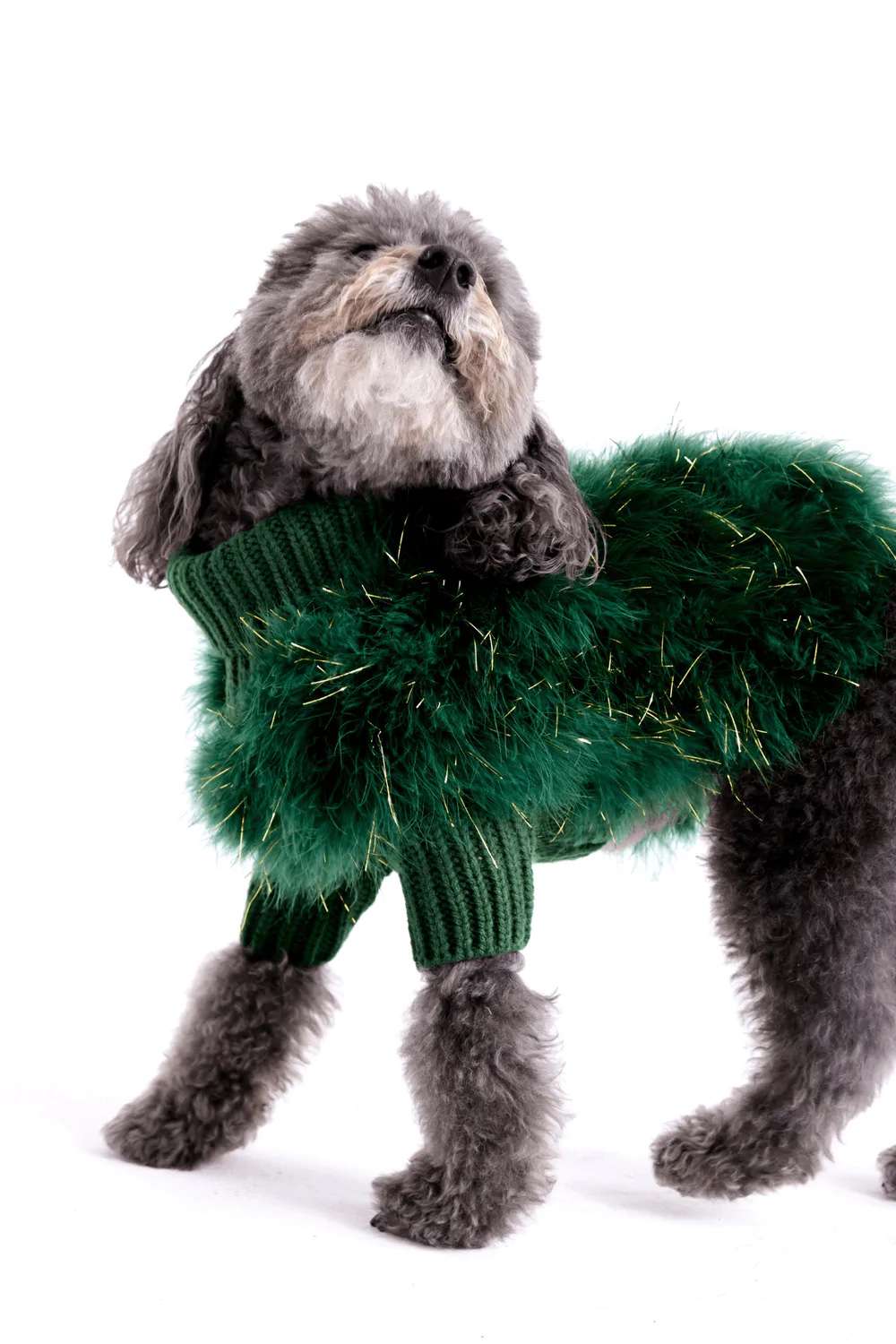 christian-cowan-holiday-glitz-jumper