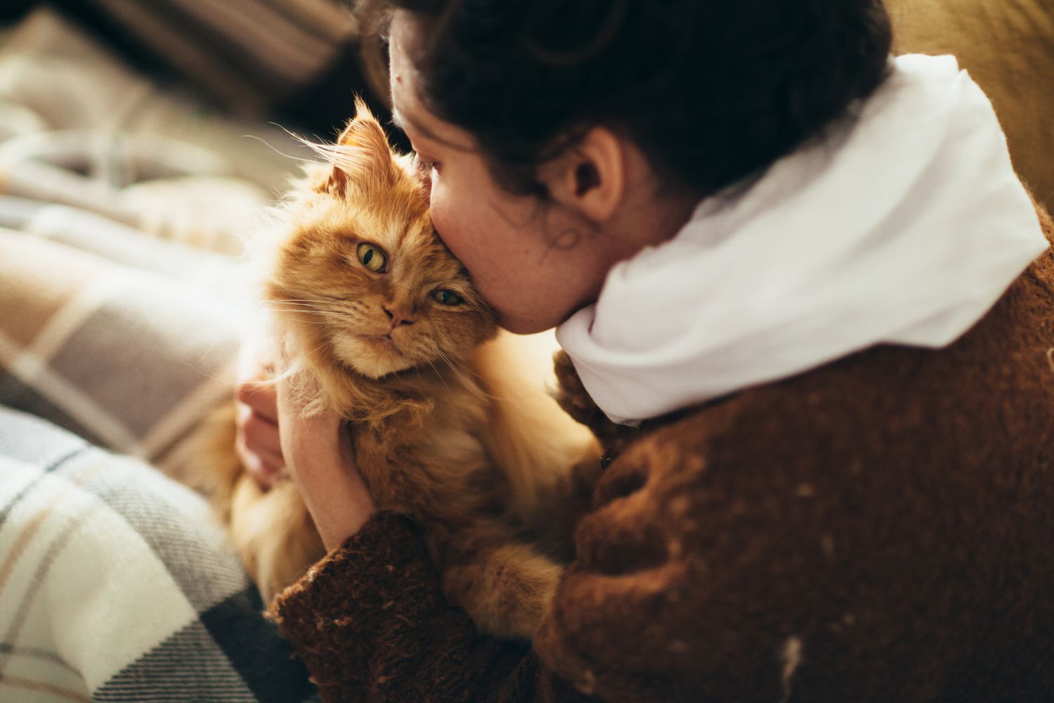 女人在亲吻一只猫。