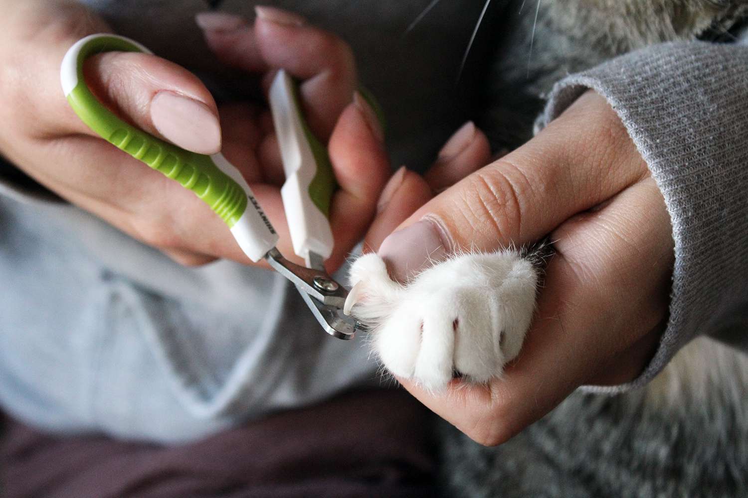 Shiny Pet Nail Clippers