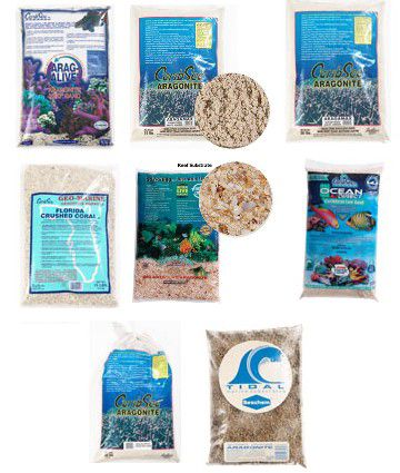 在家里开始一个盐水水族馆的清单