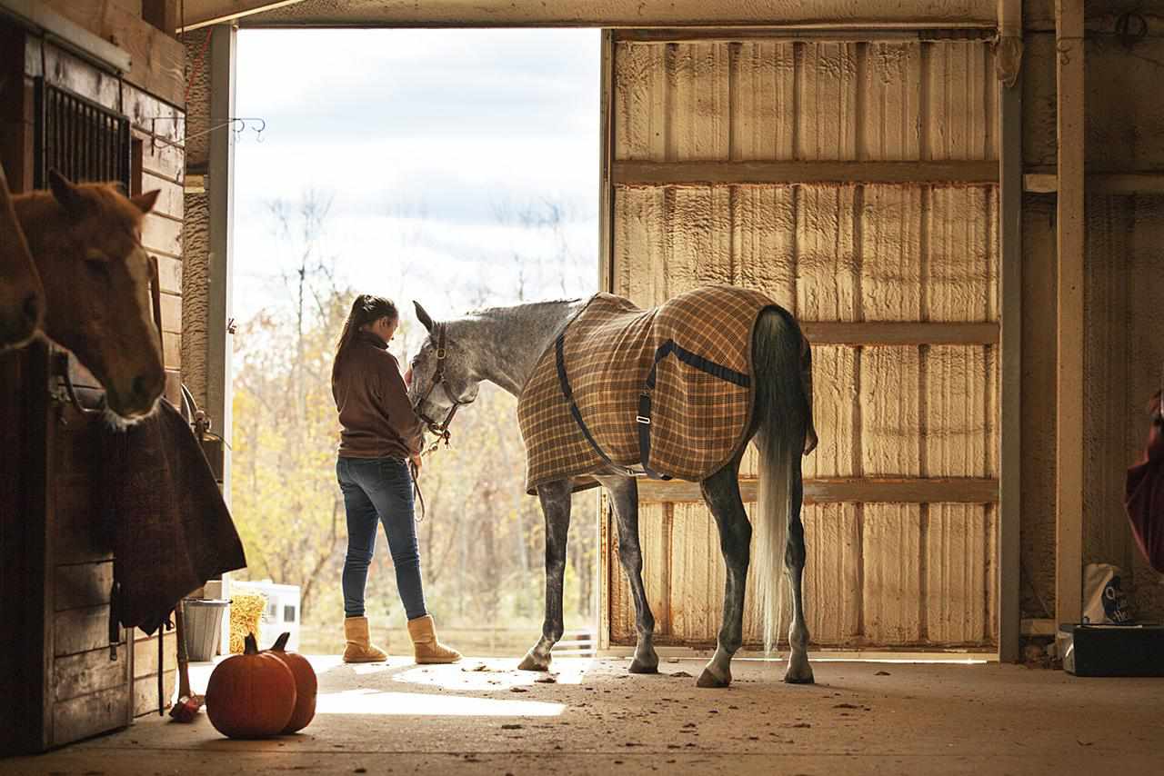 Teen Girl Caring for Horse in a Stable