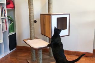 黄昏的猫家具