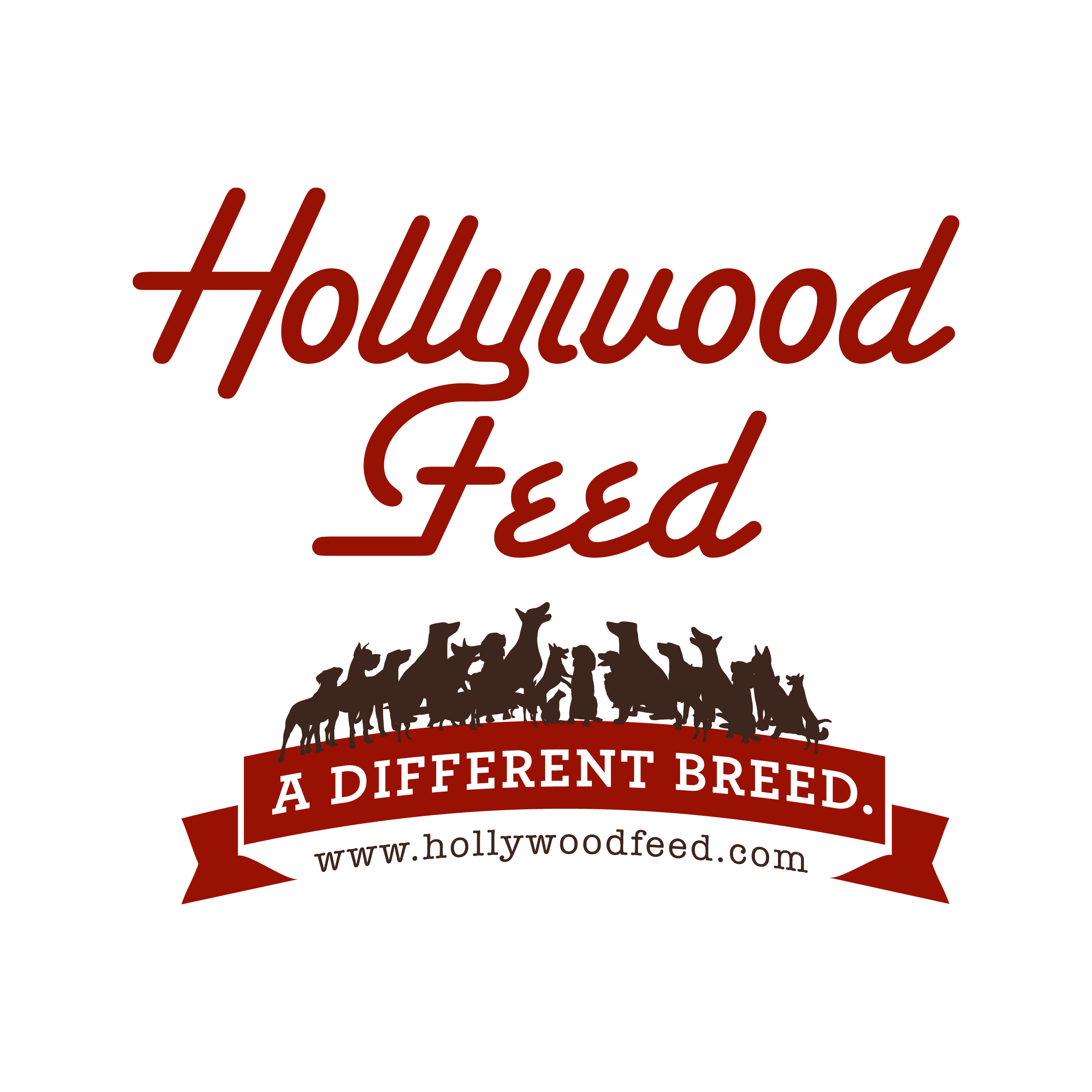 Hollywood Feed Logo