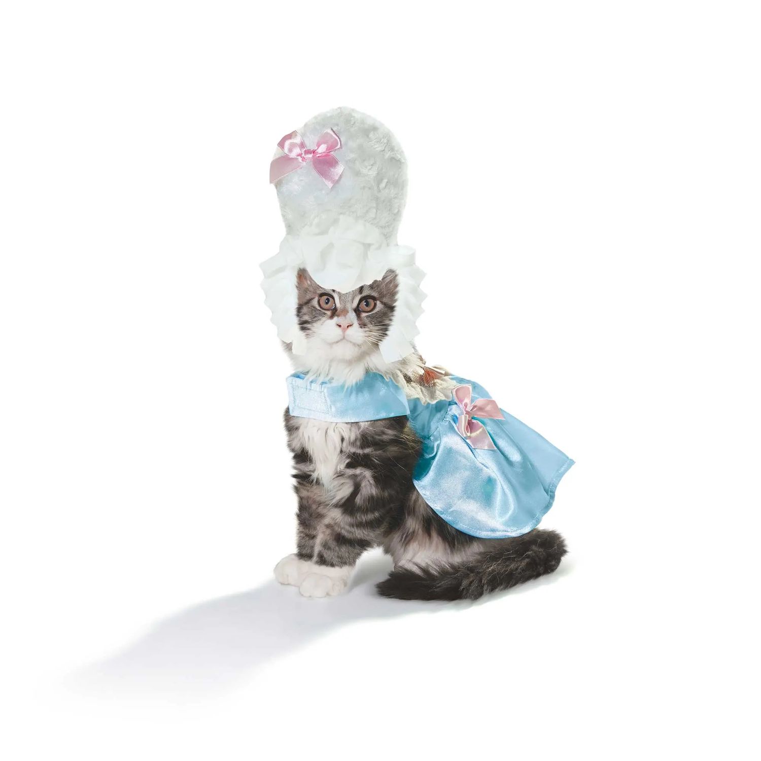 marie-antoinette-cat-costume