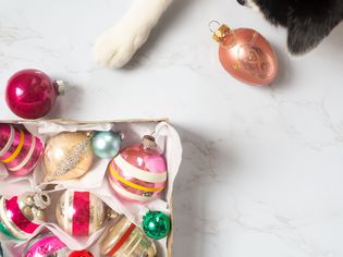a cat playing with Christmas ornaments