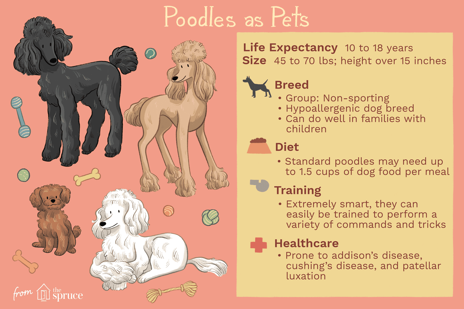 poodles as pets illustration